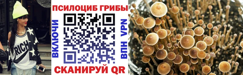 Галлюциногенные грибы MAGIC MUSHROOMS  цена   Стародуб 